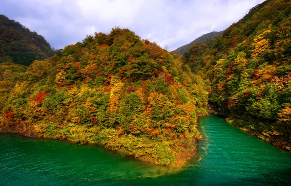 Autumn, forest, mountains, lake, Japan, Tazawa