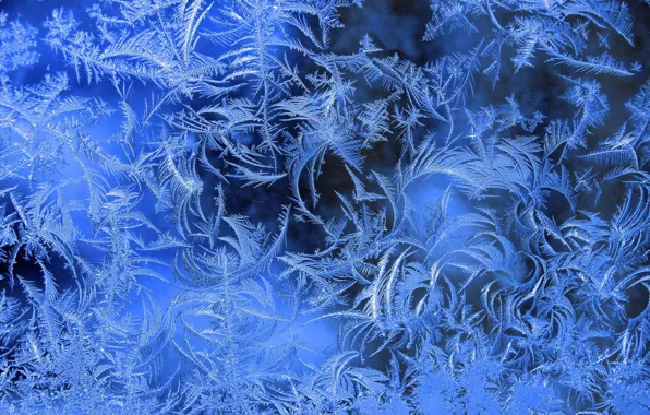 Window, Frost, Patterns