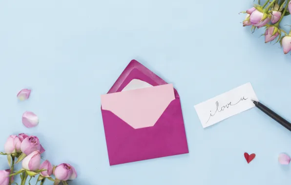 Roses, handle, buds, the envelope