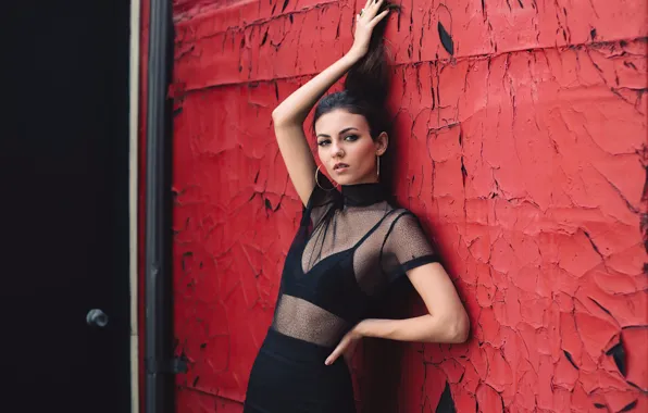 Picture look, girl, transparent, wall, model, makeup, brunette, beauty