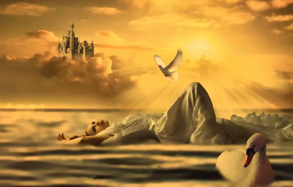 Picture girl, the sun, rays, castle, dove, Swan