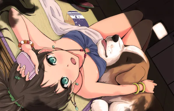 Picture girl, the sun, room, dog, lies, phone, cell phone, idolmaster