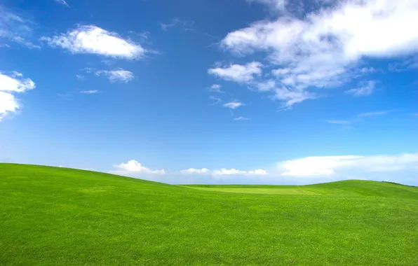 Picture field, the sky, grass, clouds, hills, landscapes, field, cloud
