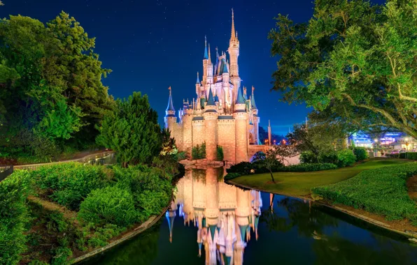 Picture the sky, stars, trees, Park, river, USA, Disneyland, Orlando
