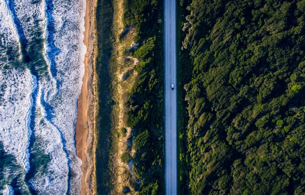 Car, Nature, Wood, Beach, Street, View, Ocean, Trees