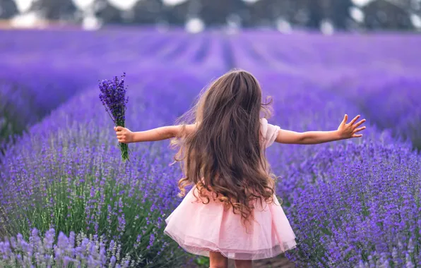 Field, summer, flowers, nature, pose, mood, bouquet, dress
