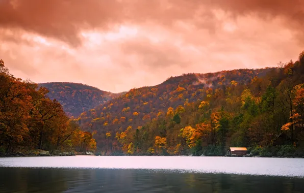 Picture autumn, forest, trees, mountains, clouds, lake, stones, VA