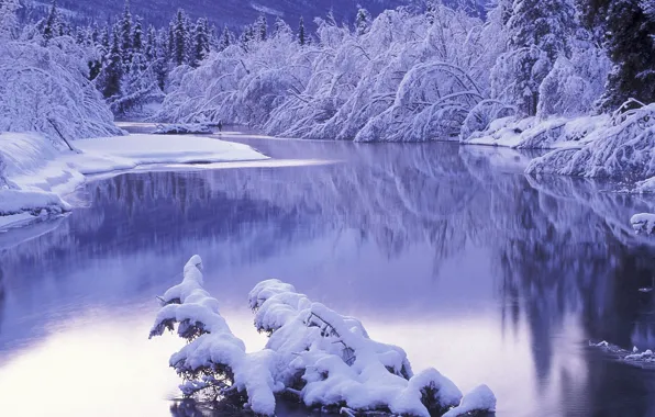 Winter, snow, landscape, river, winter
