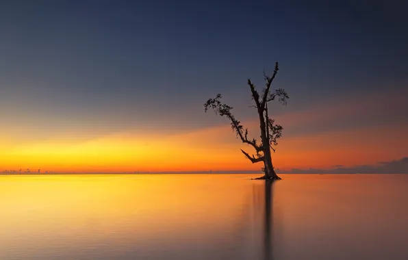 Picture clouds, sunset, lake, reflection, tree, mirror, horizon, twilight