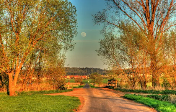 Picture trees, the city, road, HDR, Germany, Hungen