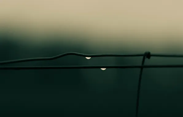 Drops, wire, The fence, after the rain