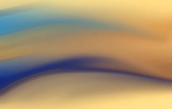 Light, line, paint, color