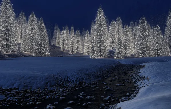 Winter, snow, lights, new year, Tree