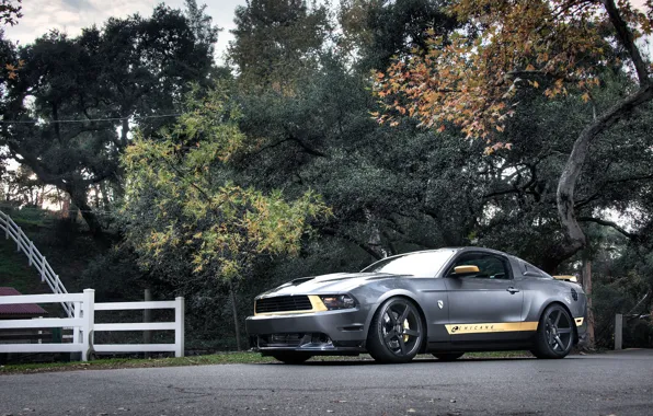 Picture road, forest, trees, the fence, Mustang, Ford, Mustang, silver