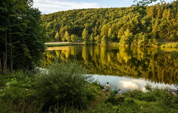 Greens, forest, summer, trees, lake, stay, fisherman, Germany