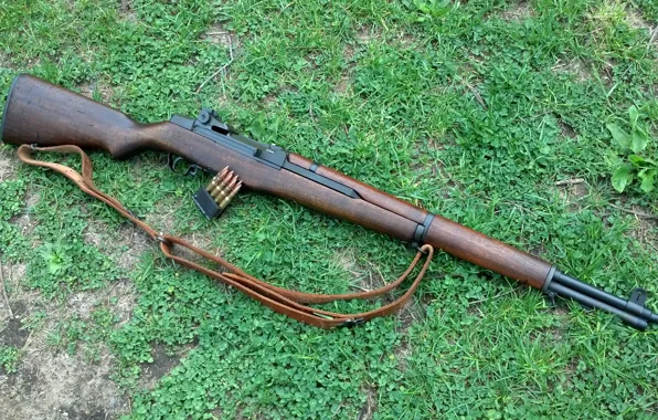 Picture grass, background, rifle, clip, self-loading, M1 Garand