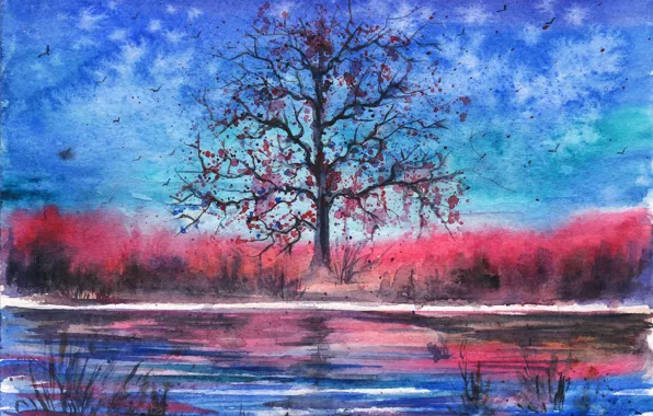 Picture birds, river, tree, the evening, watercolor, painted landscape