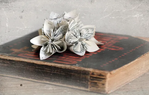 Picture style, Origami, Book