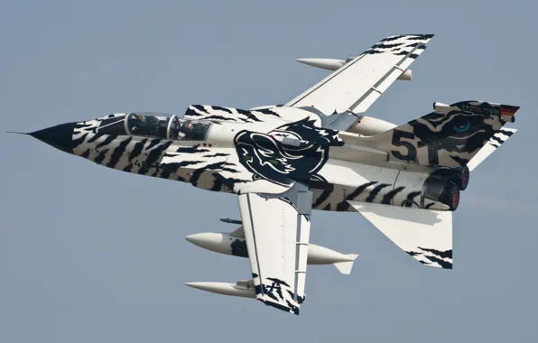 Picture flight, fighter, bomber, Panavia Tornado, 'Arctic-Tiger'