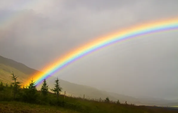Picture rainbow, phenomenon, nature