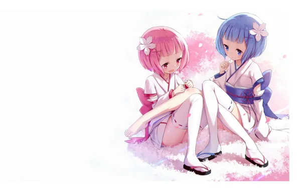White background, kimono, sisters, blue hair, pink hair, flower in hair, cherry blossoms, white stockings