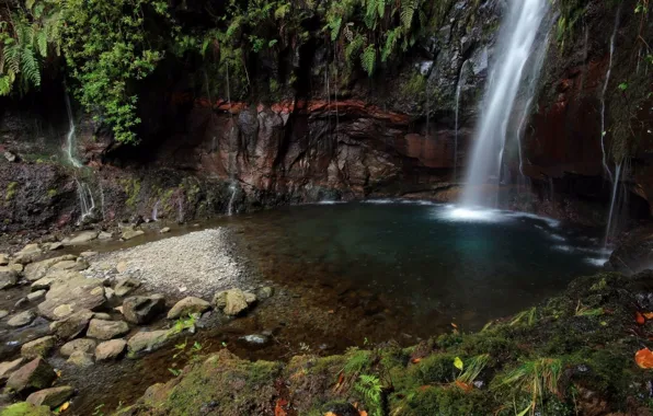 Grass, water, stones, waterfall, Rocks