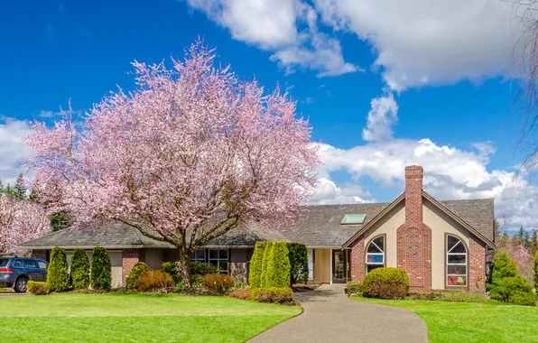 Greens, the sky, grass, clouds, design, house, tree, lawn