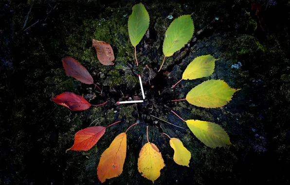 LEAVES, ARROWS, WATCH, MOSS, AUTUMN, DIAL, SOIL, MATCHES