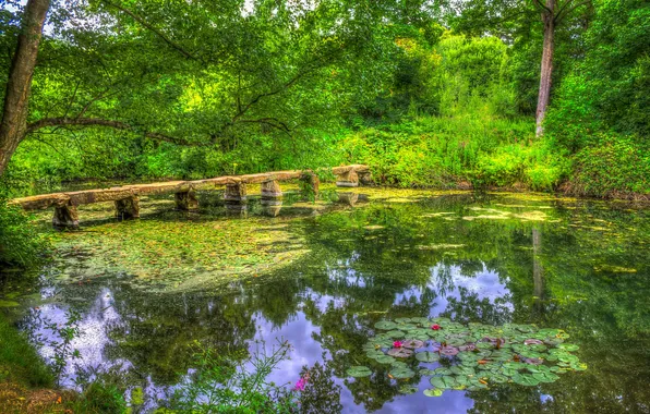 Picture greens, bridge, pond, Park, treatment, UK, Nostell