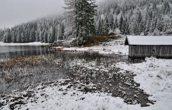 Picture winter, snow, river, the barn, tree