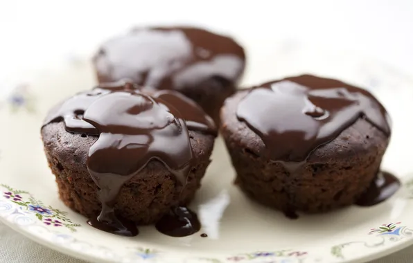 Picture chocolate, chocolate cake, baked, chocolate coating