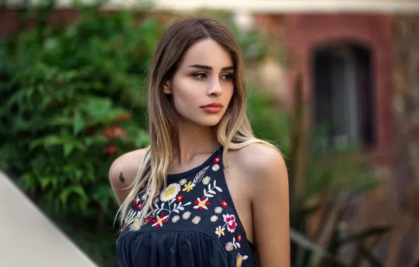 Picture look, girl, portrait, blouse, beautiful