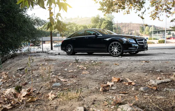 Black, side, drives, black, Mercedes Benz, Mercedes, CLS550