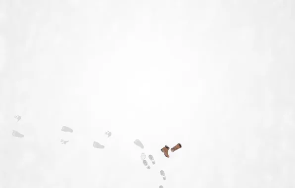 Snow, traces, blood, minimalism, murder, horror, Yeti, new year