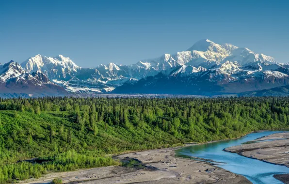 Forest, mountains, river, Alaska, Alaska, Denali National Park, Alaska range, Denali national Park