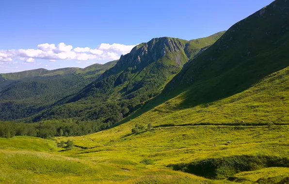 Forest, the sky, grass, clouds, mountains, trail, valley, Italy
