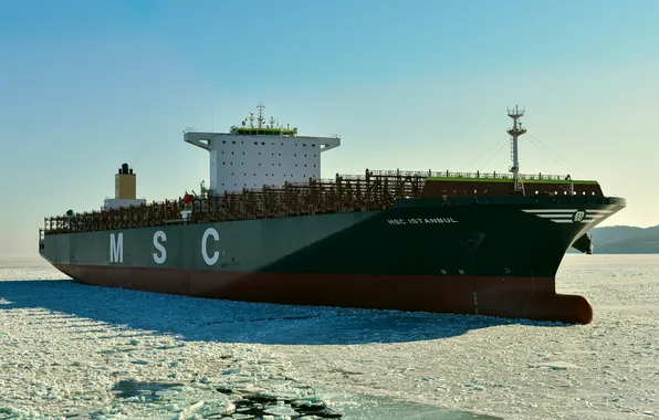 Ice, winter, the sky, a container ship