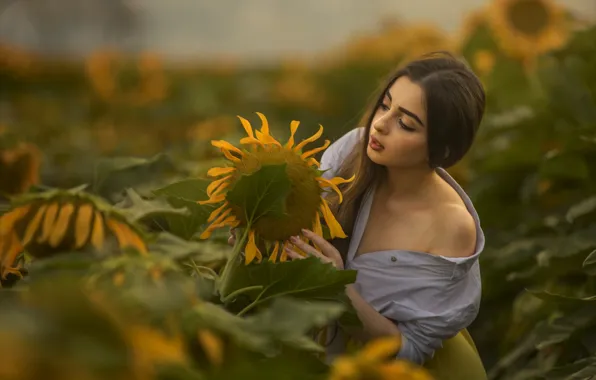 Picture girl, sunflowers, pose, shoulder, bokeh, Alex Darash, Light Mishiev Was