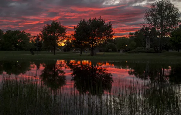 Picture trees, dawn, reflection lake
