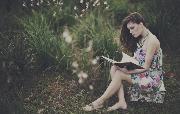 Picture nature, dress, book