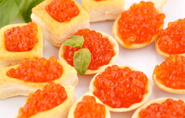 Picture red, caviar, tartlets, sandwiches
