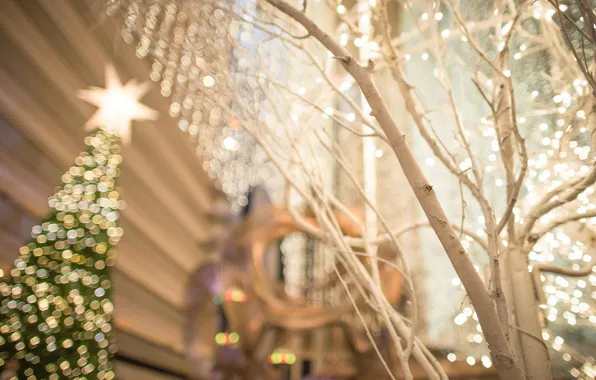 The city, lights, tree, holiday, street, tree, Christmas, New year