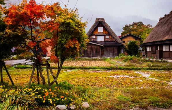 Trees, flowers, mountains, fog, home, the bushes