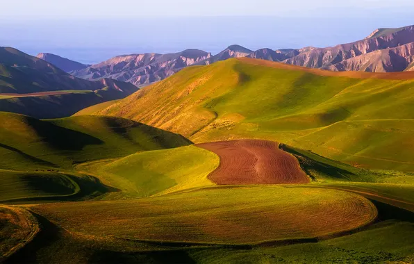 Mountains, beauty, plain, horizon, space, haze, meadows, foothills