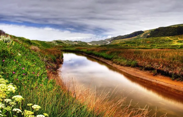 Picture summer, the sky, grass, flowers, river, slope, direction