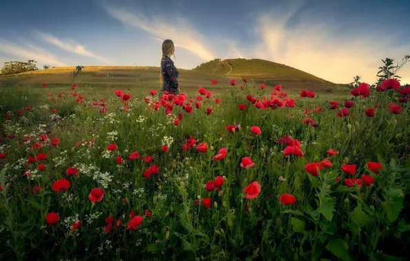 Field, summer, girl, flowers, hills, Maki, dress, red