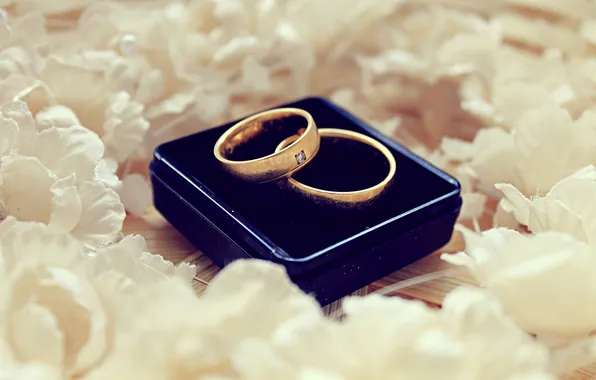Picture macro, ring, wedding