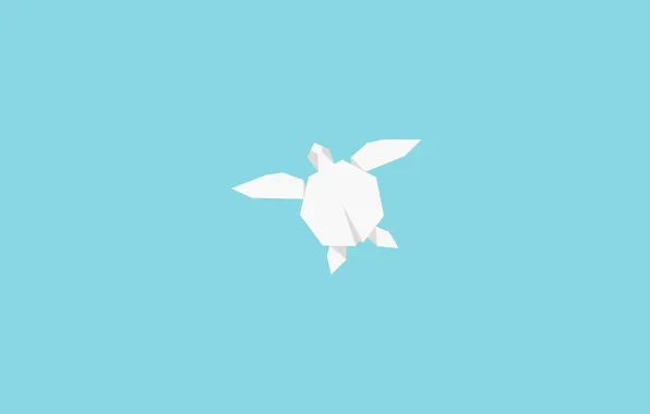 Animal, turtle, reptile