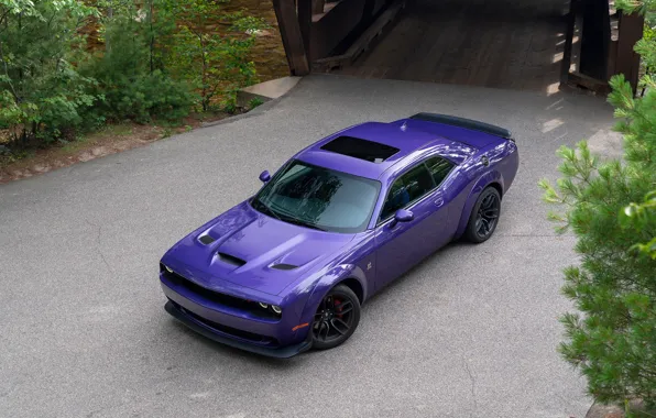 Picture purple, Dodge, Challenger, R-T Scat Pack