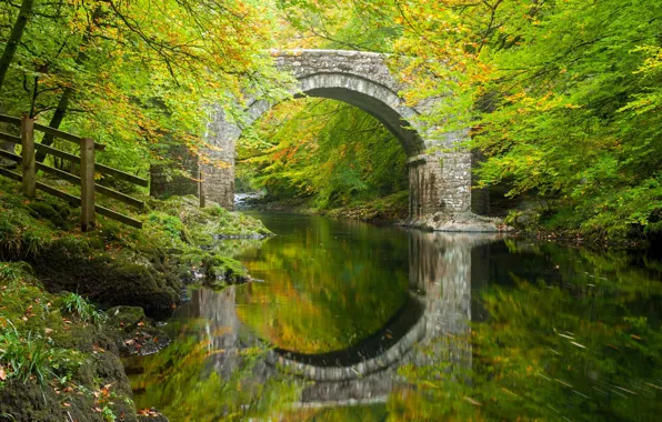Autumn, forest, trees, bridge, reflection, river, England, arch